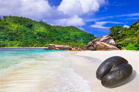 Cheap Flights to Seychelles (SEZ) from £534 Return .